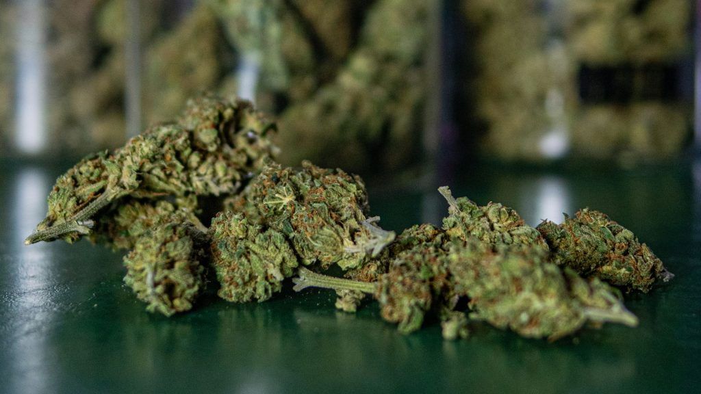 Cannabis Strains in Madrid: Indica, Sativa and Hybrid sativa strain of weed available at cannabis clubs in Madrid