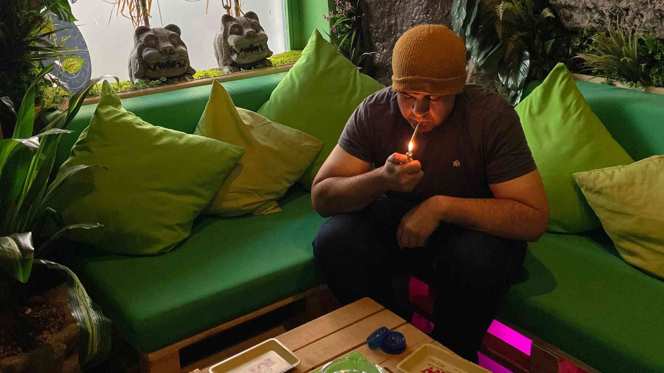 Four Best Cannabis Strains Found at Madrid Cannabis Clubs