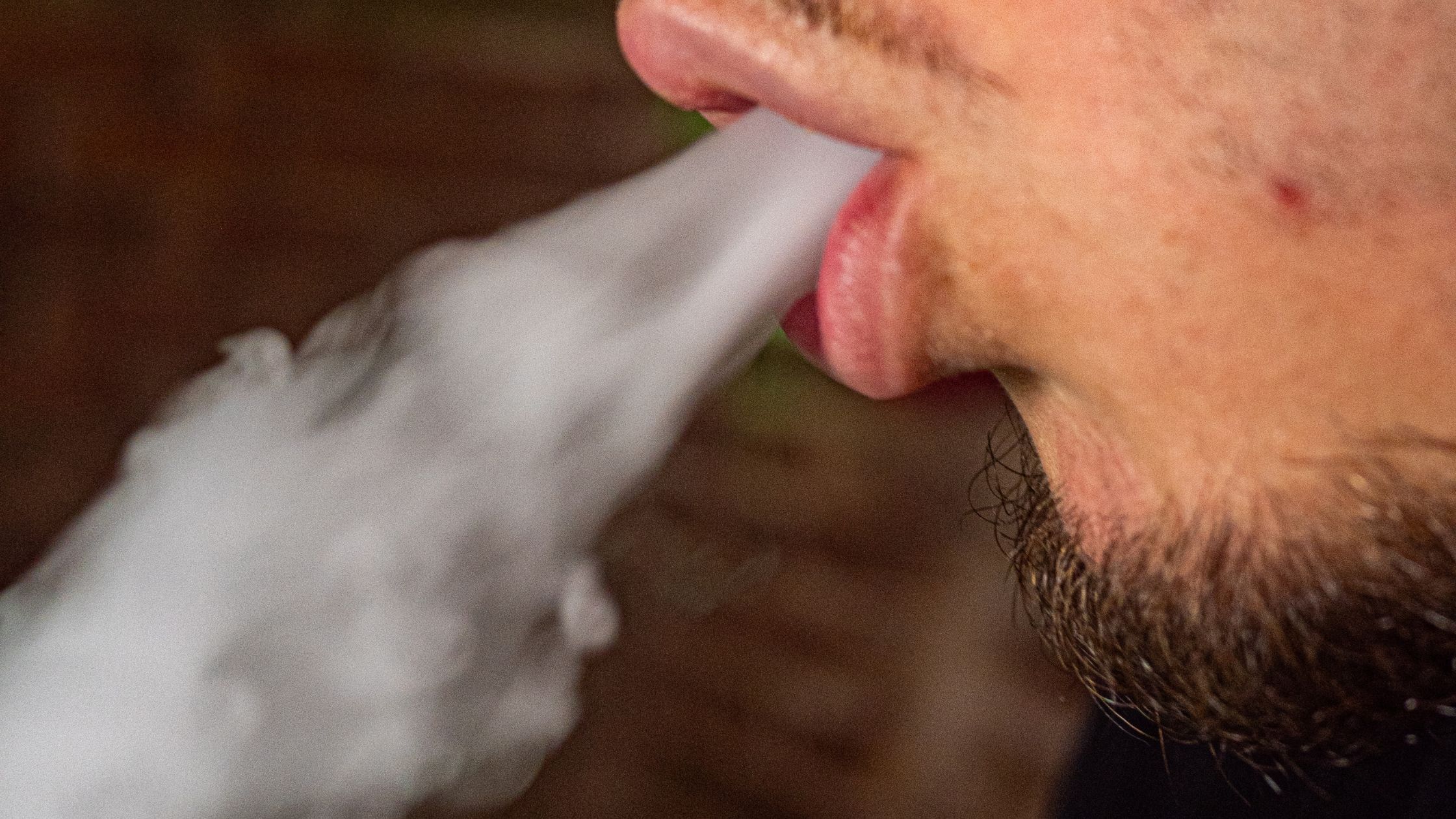 Weed Clubs as a Tourist in Madrid